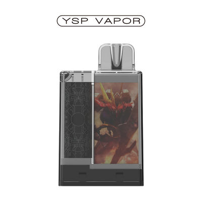 1.2 Ом 6000 Puffs Pod Система 10 мл перезаряжаемые Vape Pod наборы